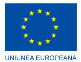 Diversificarea activității socieatății SIG TOURISM SRL prin achiziția de exhipamente